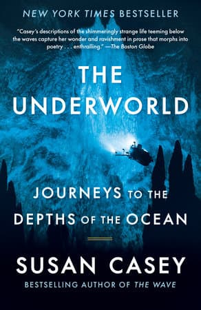 Cover of The Underworld: Journeys to the Depths of the Ocean